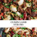 Real-deal Xinjiang cumin lamb recipe that yields crispy juicy lamb pieces coated with a bold cumin chili spice mix, stir fried with onion, garlic and cilantro. It’s a dish you can easily make at home, and it tastes just like what you’d get in China. {Gluten free adaptable}