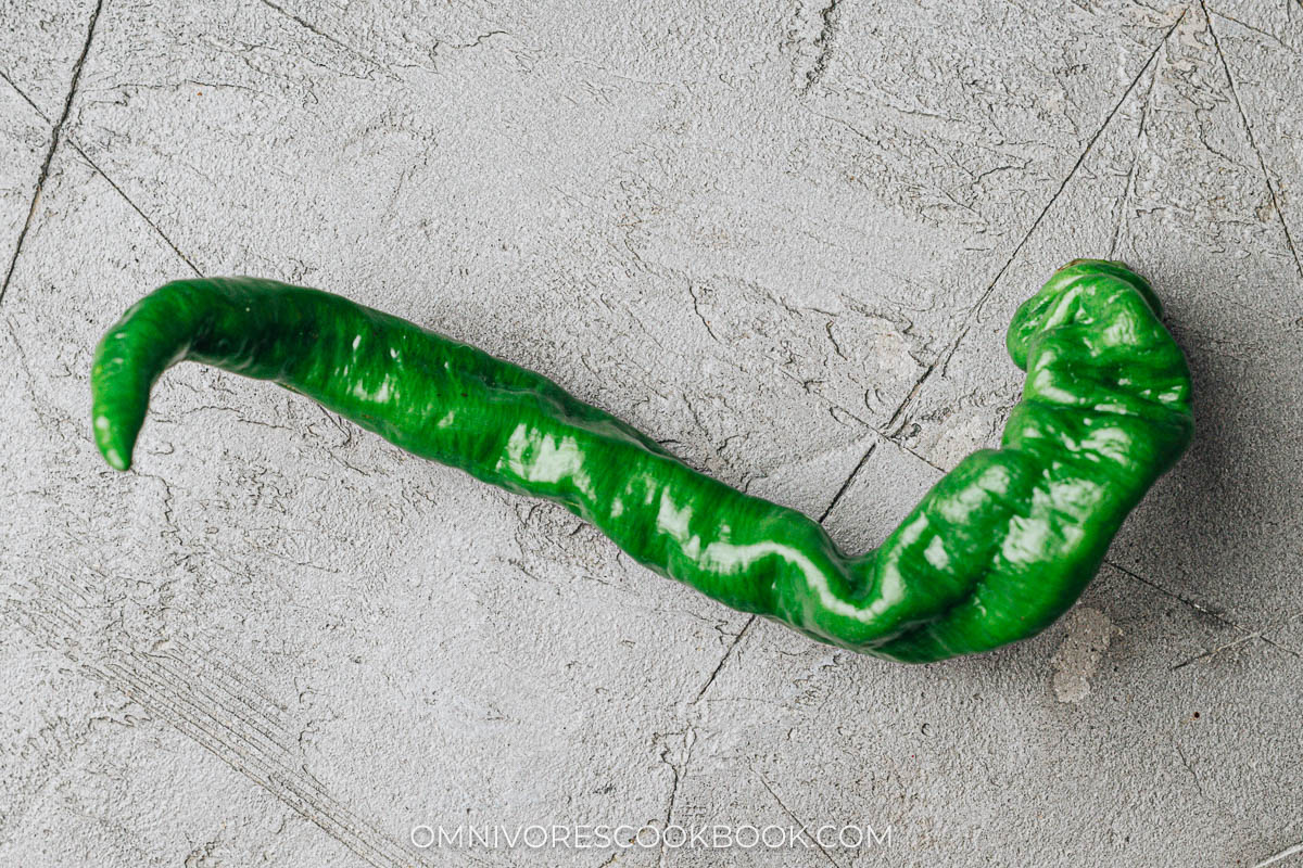 Chinese long chili pepper